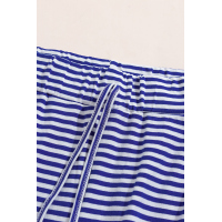 Blue Striped Casual Joggings