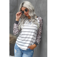 Striped Leopard Raglan Top