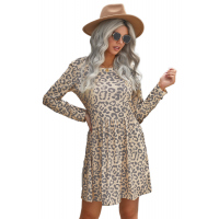 Long Sleeve Leopard Print Mini Dress