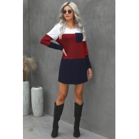 Color Block Pocket Mini Dress