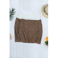 Brown Colorblock Crochet Hollow Out Long Sleeve Top