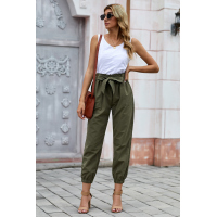 Green Solid Color Frock-style Pants with Belt