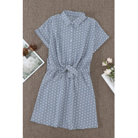 Polka Dot Shirt Collar Short Sleeve Mini Dress