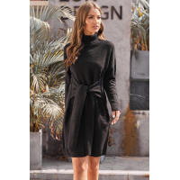 Black Long Sleeve Tie Waist Turtleneck Pullover Sweater Dress