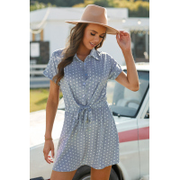 Polka Dot Shirt Collar Short Sleeve Mini Dress