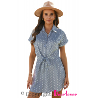 Polka Dot Shirt Collar Short Sleeve Mini Dress