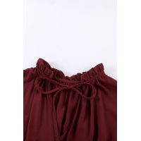 Wine Red Sleeveless V Neck Ruffled Swing Mini Dress