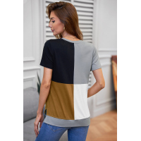 Brown Colorblock T-shirt with Slits