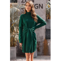 Green Long Sleeve Tie Waist Turtleneck Pullover Sweater Dress