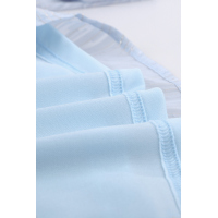 Sky Blue V Neck Lantern Sleeve Textured Solid Top