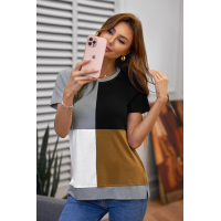 Brown Colorblock T-shirt with Slits