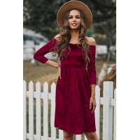 Wine Velvet Off Shoulder Half Sleeve Pleated Midi Dress