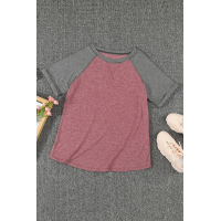 Raglan Sleeve Patchwork Colorblock Tee