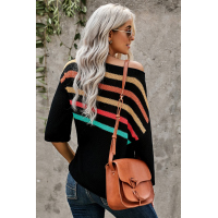 Multicolor Stripes Print Black Knit Top