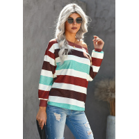 Brown One Shoulder Striped Color Block Lantern Long Sleeve Top