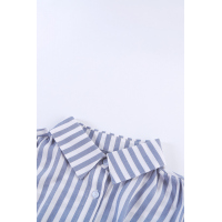 Blue Short Sleeve Buttoned Striped Print Blouse