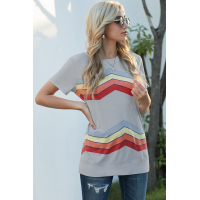 Gray Colorful Wavy Stripes Print Short Sleeve Tee