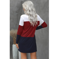 Color Block Pocket Mini Dress