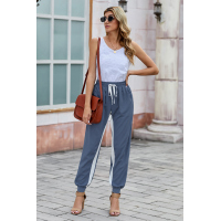 Blue Casual Striped Drawstring Pants