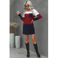 Color Block Pocket Mini Dress