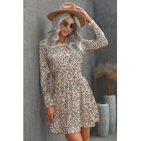 Long Sleeve Leopard Print Mini Dress