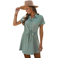 Green Polka Dot Shirt Collar Short Sleeve Mini Dress