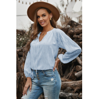 Sky Blue V Neck Lantern Sleeve Textured Solid Top