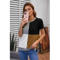 Brown Colorblock T-shirt with Slits