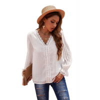 White Elegant V-Neck Swiss Dot Lace Blouse