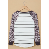 Striped Leopard Raglan Top