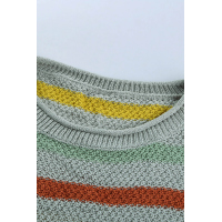 Multicolor Stripes Print Gray Knit Top