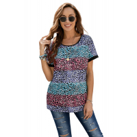 Multicolor Leopard Striped Colorblock T-shirt