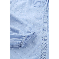 Sky Blue V Neck Lantern Sleeve Lace Hollow Out Top