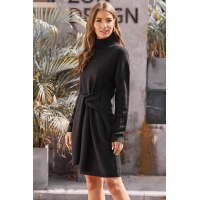 Black Long Sleeve Tie Waist Turtleneck Pullover Sweater Dress