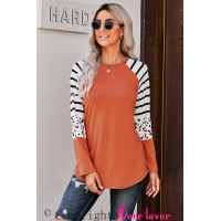 Orange Striped Animal Print Colorblock Long Sleeve Top