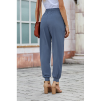 Blue Casual Striped Drawstring Pants